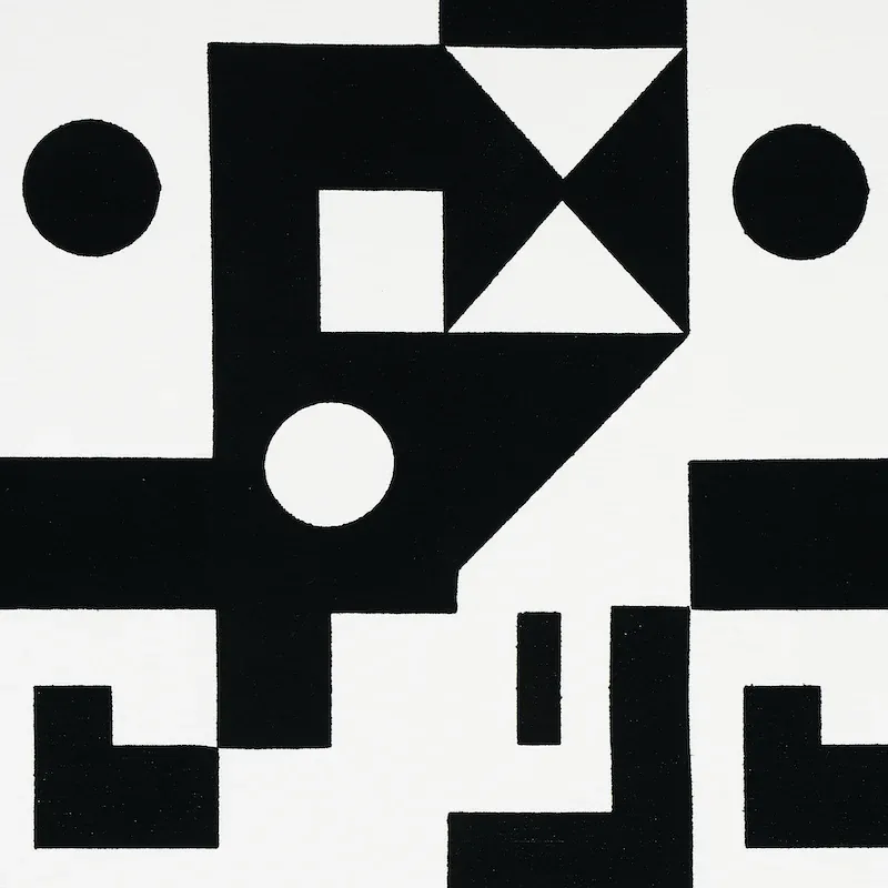 BINARY EMBROIDERY fabric BLACK color by Schumacher