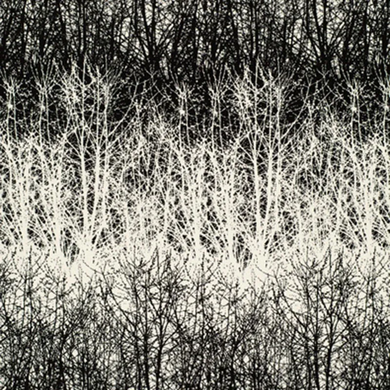 BIRCHES fabric BLACK color by Schumacher
