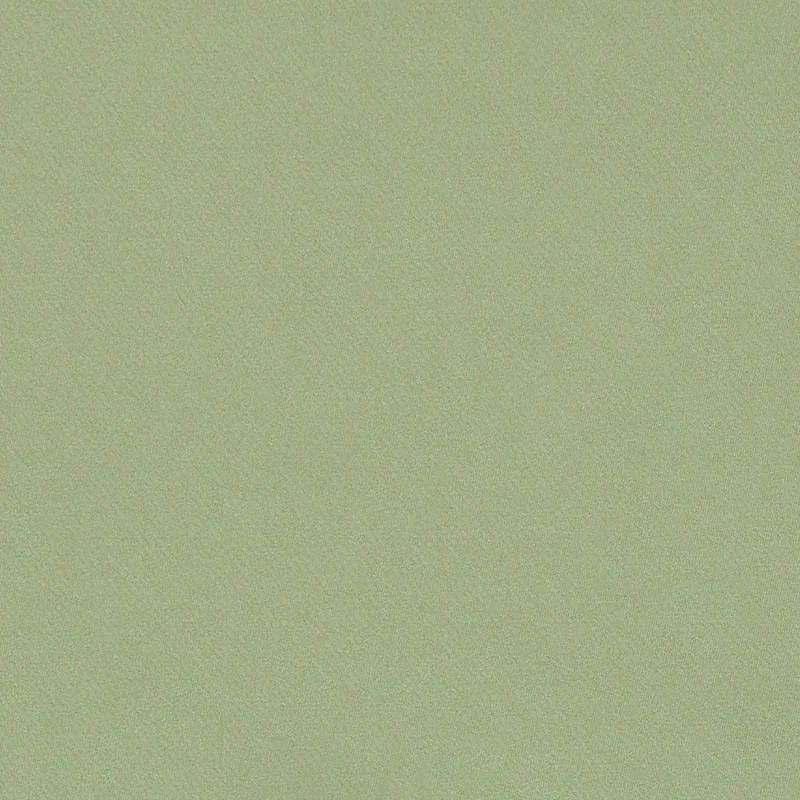 Blake Polished Cotton fabric MOSS color by Schumacher