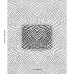 BLIXEN VELVET fabric GRAPHITE color by Schumacher