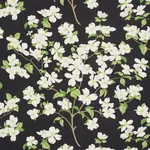 BLOOMING BRANCH fabric BLACK color by Schumacher