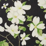 BLOOMING BRANCH fabric BLACK color by Schumacher