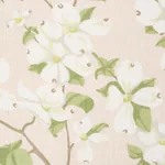 BLOOMING BRANCH fabric BLUSH color by Schumacher