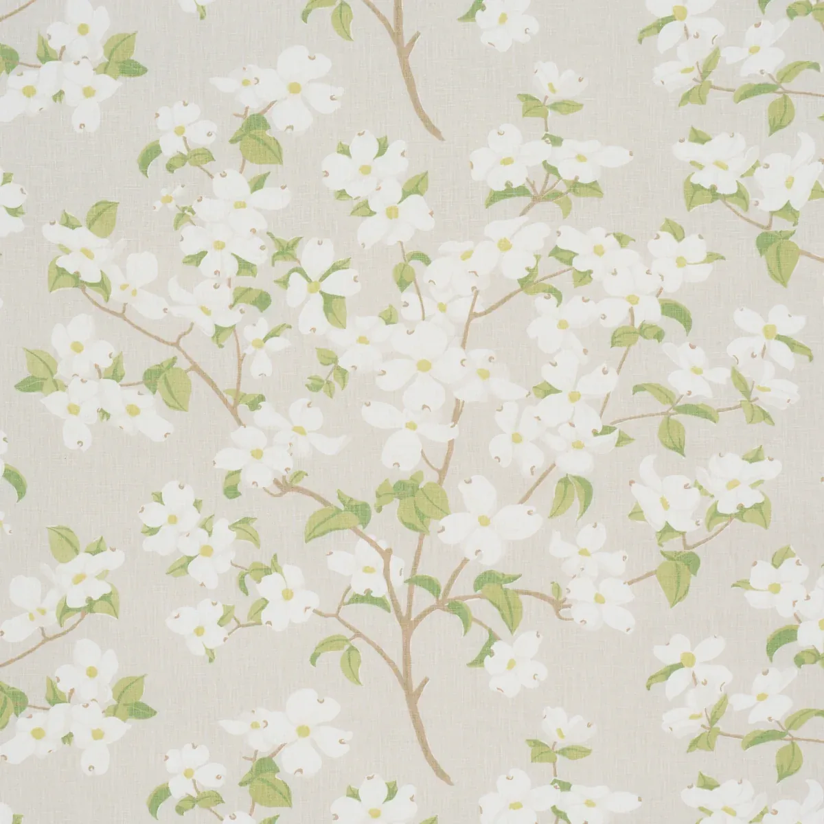 BLOOMING BRANCH fabric DOVE color by Schumacher