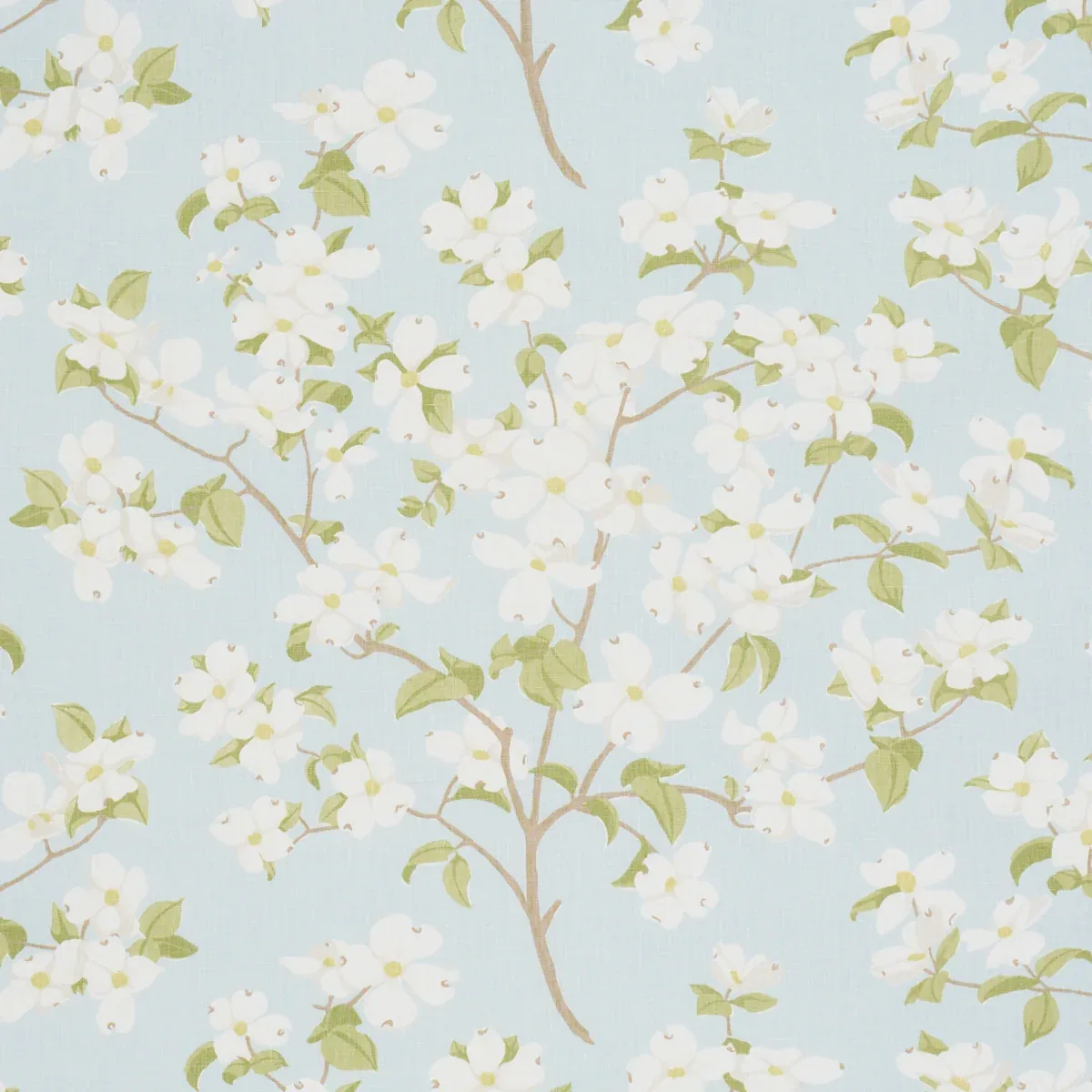 177413 | BLOOMING BRANCH – SKY