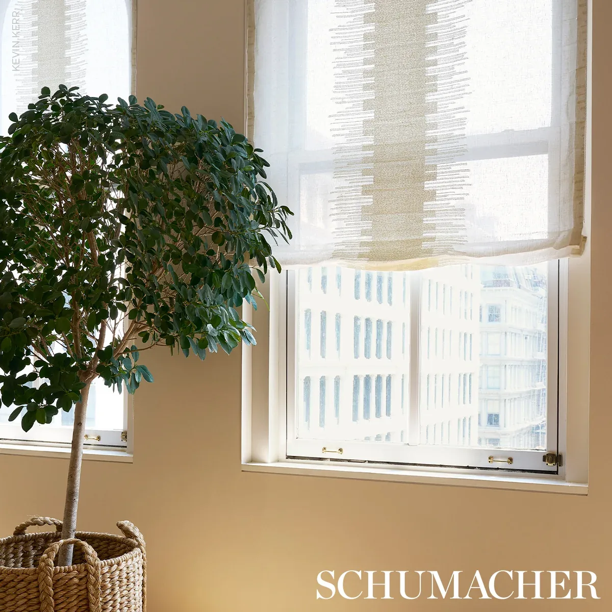 BONNEVILLE SHEER fabric IVORY color by Schumacher
