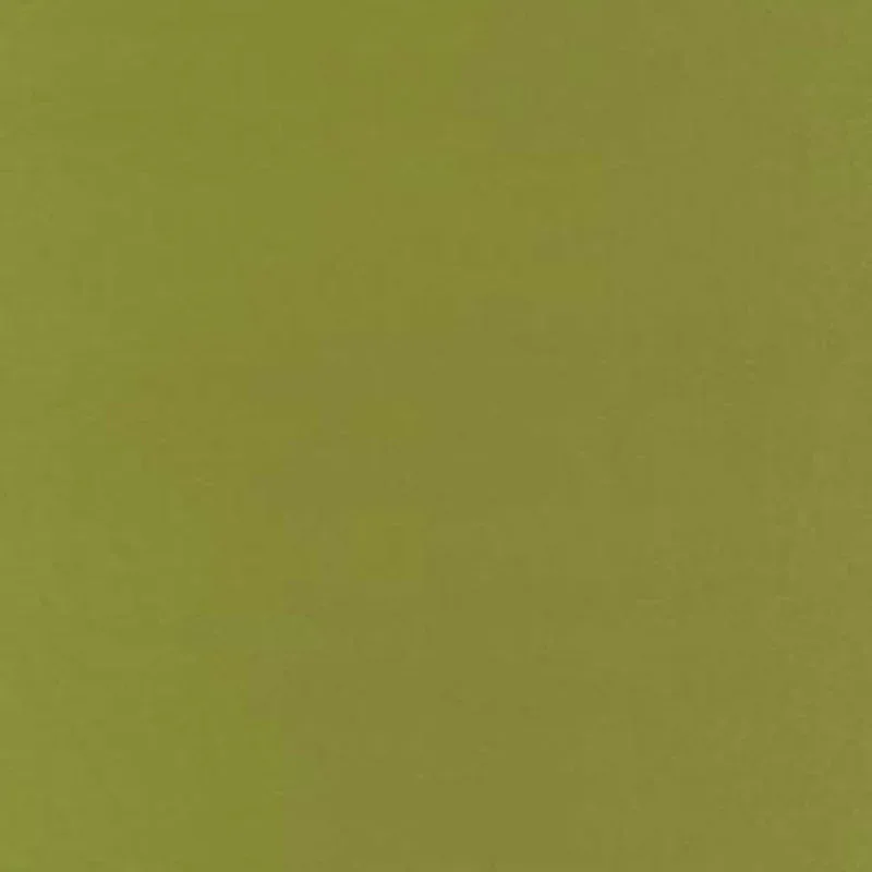 63827 | BOTTICELLI SILK TAFFETA – APPLE