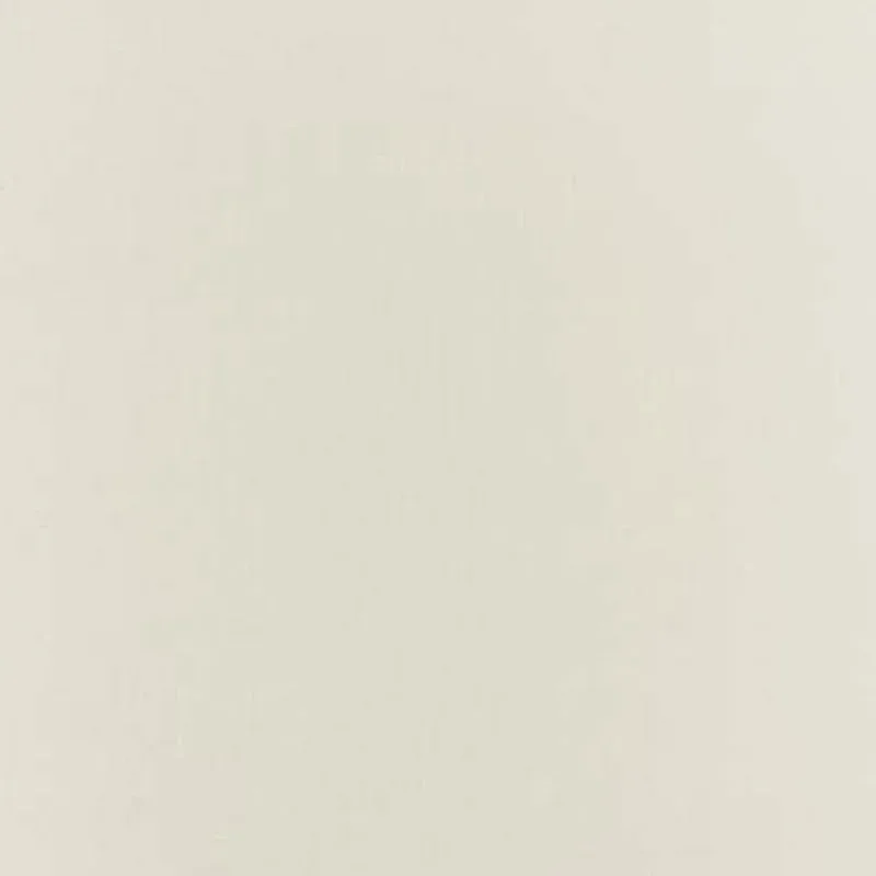 63812 | BOTTICELLI SILK TAFFETA – BONE