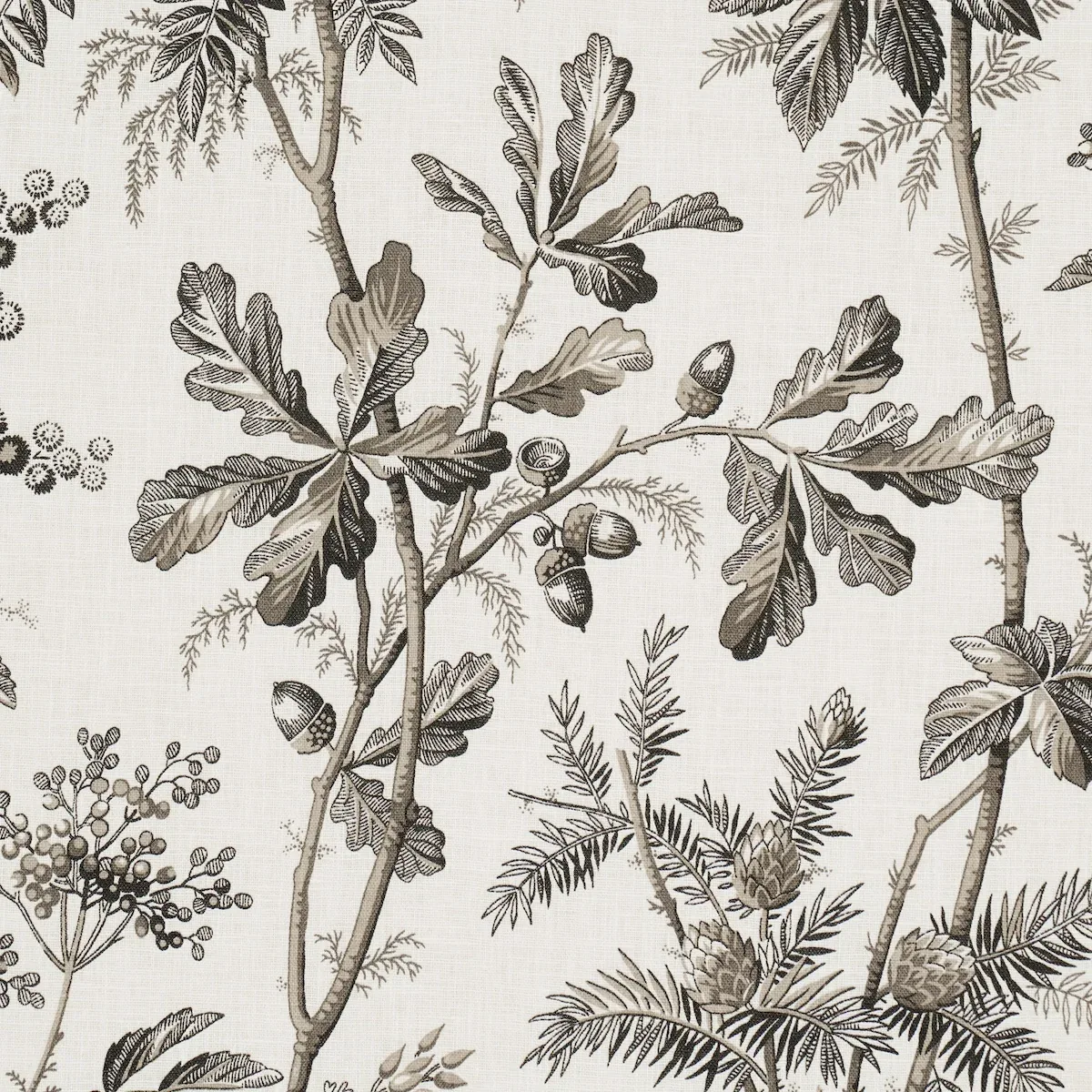 BRANTWOOD VINE Fabric – GRAPHITE | Schumacher | Wallpaper Tw BRANTWOOD VINE fabric GRAPHITE color by Schumacher