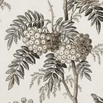 BRANTWOOD VINE Fabric – GRAPHITE | Schumacher | Wallpaper Tw BRANTWOOD VINE fabric GRAPHITE color by Schumacher