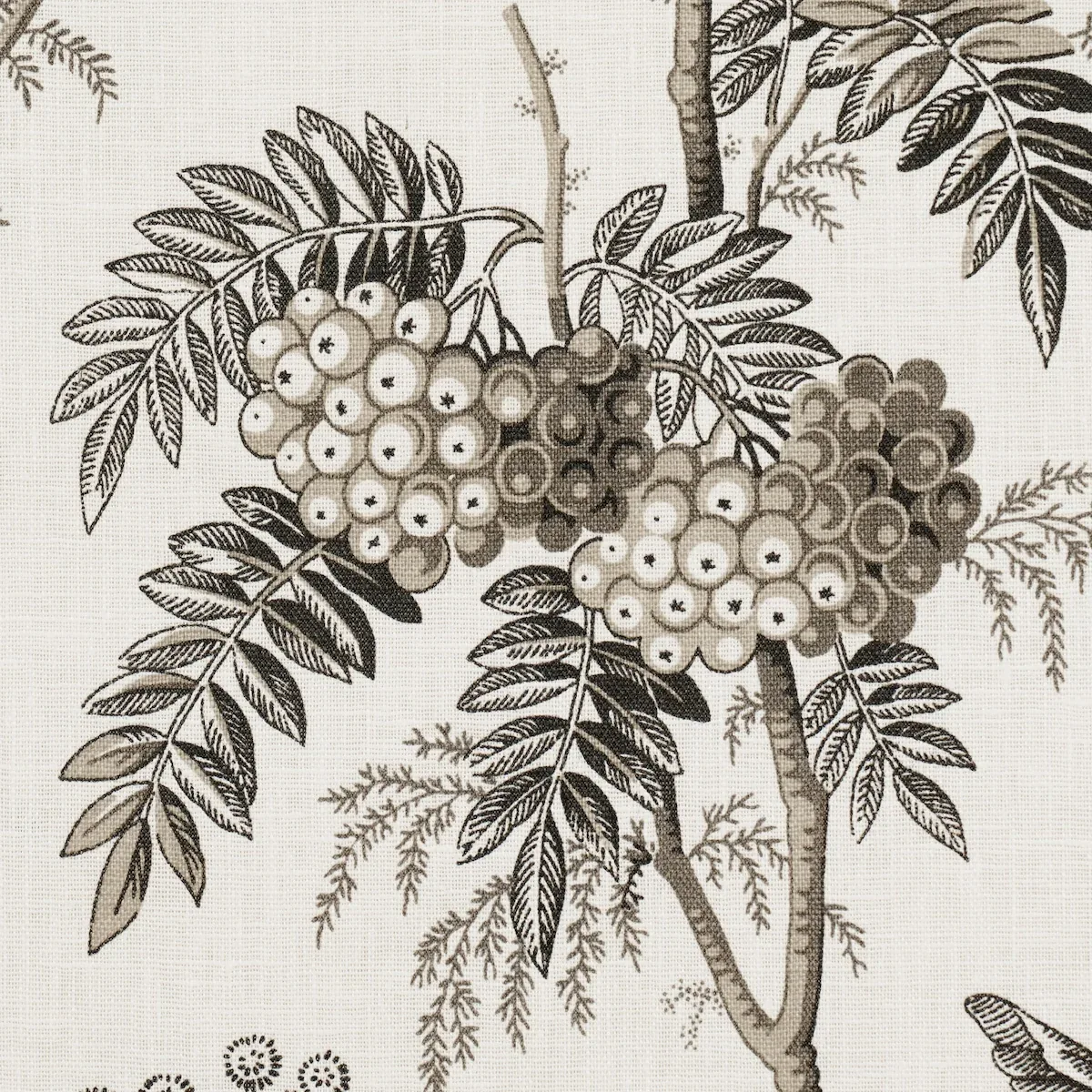 BRANTWOOD VINE Fabric – GRAPHITE | Schumacher | Wallpaper Tw BRANTWOOD VINE fabric GRAPHITE color by Schumacher