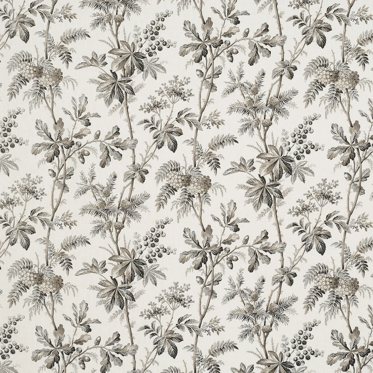 BRANTWOOD VINE fabric GRAPHITE color by Schumacher