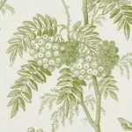 BRANTWOOD VINE Fabric – LEAF | Schumacher | Wallpaper Twins BRANTWOOD VINE fabric LEAF color by Schumacher