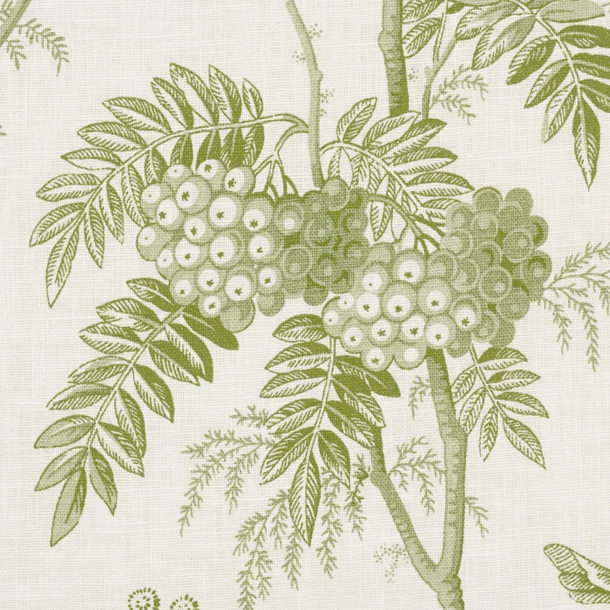 BRANTWOOD VINE Fabric – LEAF | Schumacher | Wallpaper Twins BRANTWOOD VINE fabric LEAF color by Schumacher
