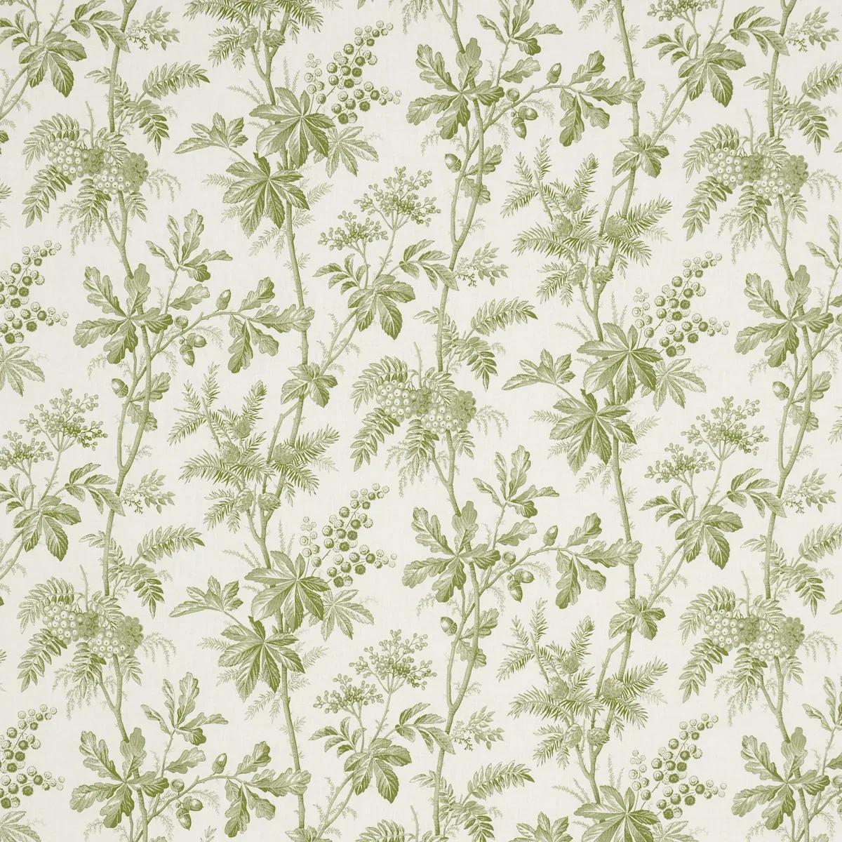 174114 | BRANTWOOD VINE – LEAF