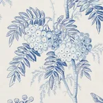 BRANTWOOD VINE Fabric – PORCELAIN | Schumacher | Wallpaper T BRANTWOOD VINE fabric PORCELAIN color by Schumacher