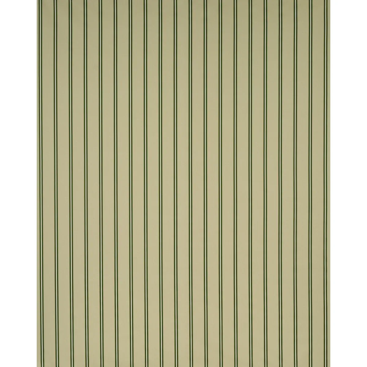 BRIONY STRIPE fabric LEAF color by Schumacher