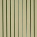 BRIONY STRIPE fabric LEAF color by Schumacher