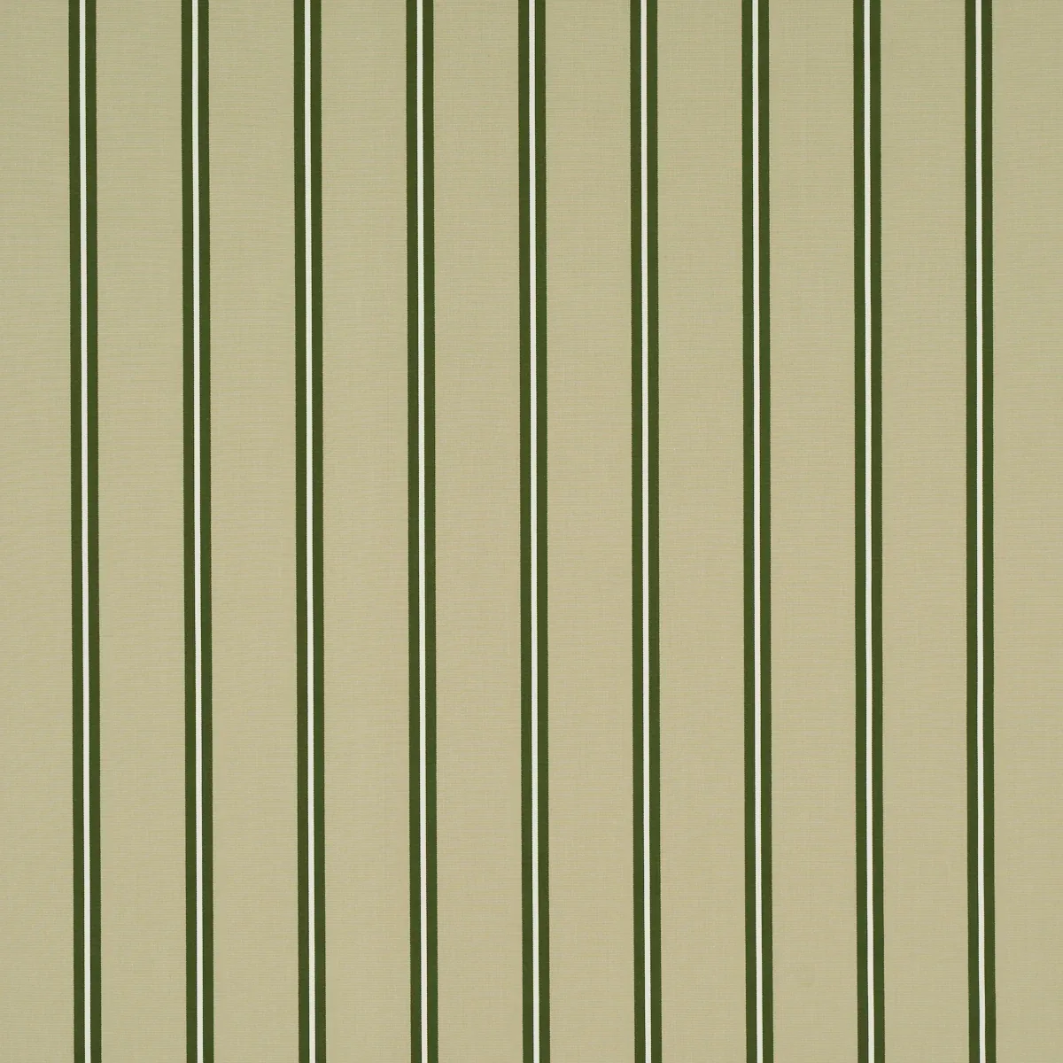BRIONY STRIPE fabric LEAF color by Schumacher