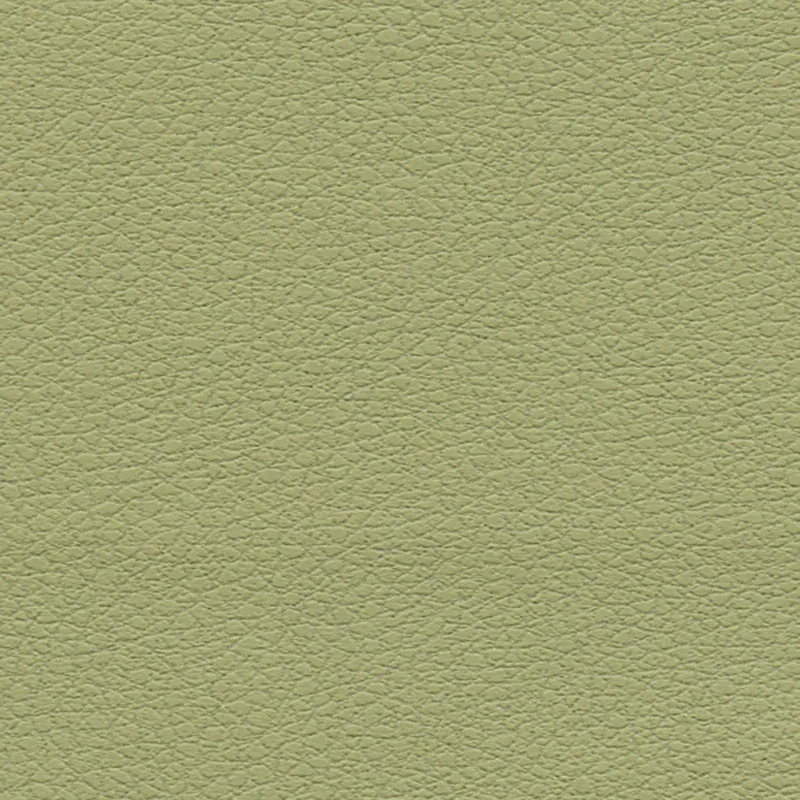 303-4510 | BRISA – CELERY