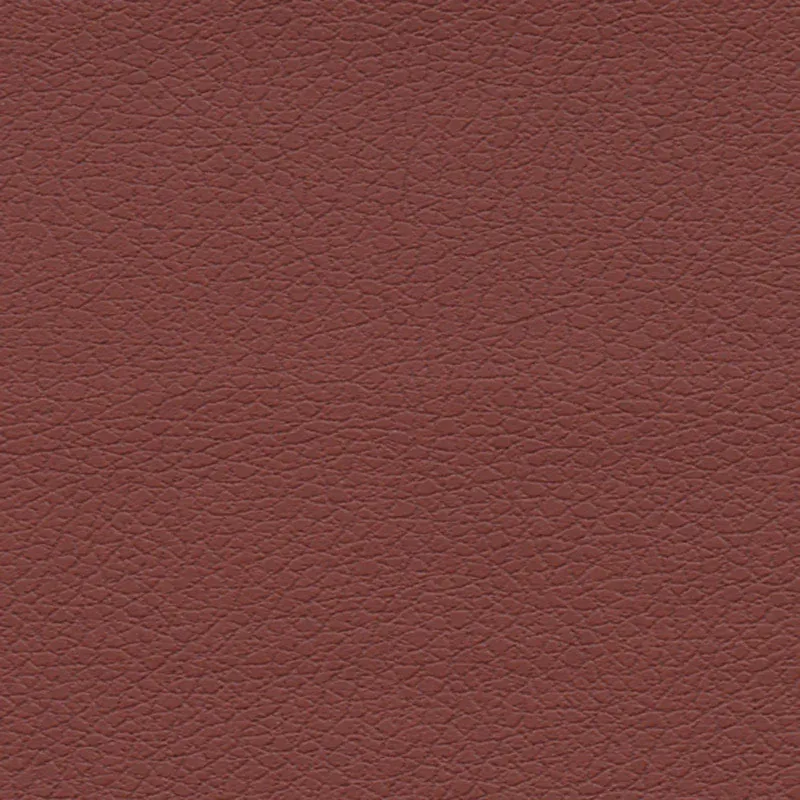 303-1373 | BRISA – RAISIN