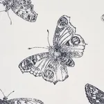 BURNELL BUTTERFLY fabric BLACK color by Schumacher