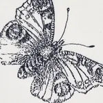 BURNELL BUTTERFLY fabric BLACK color by Schumacher