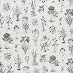 CABOT BOTANICAL Fabric – IVORY | Schumacher | Wallpaper Twin CABOT BOTANICAL fabric IVORY color by Schumacher