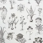 CABOT BOTANICAL LARGE fabric IVORY color by Schumacher