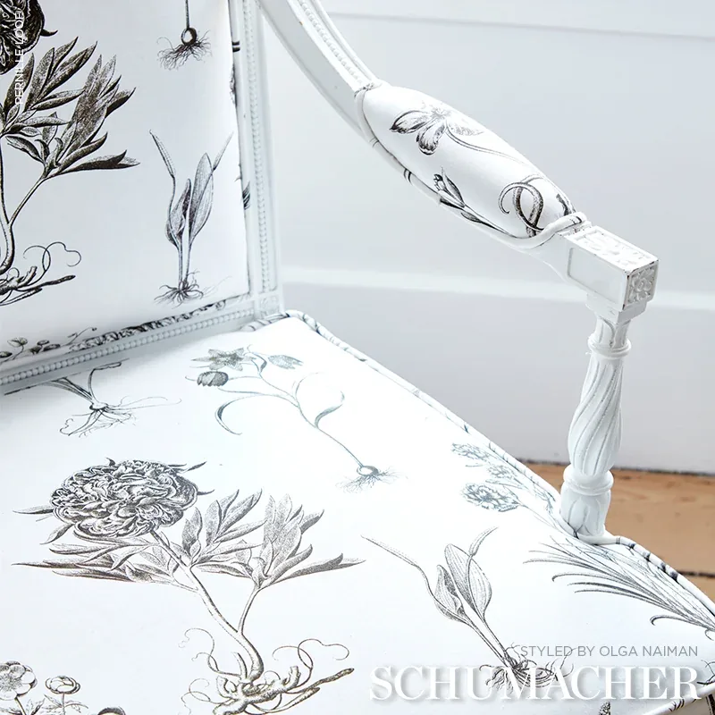 CABOT BOTANICAL LARGE fabric IVORY color by Schumacher
