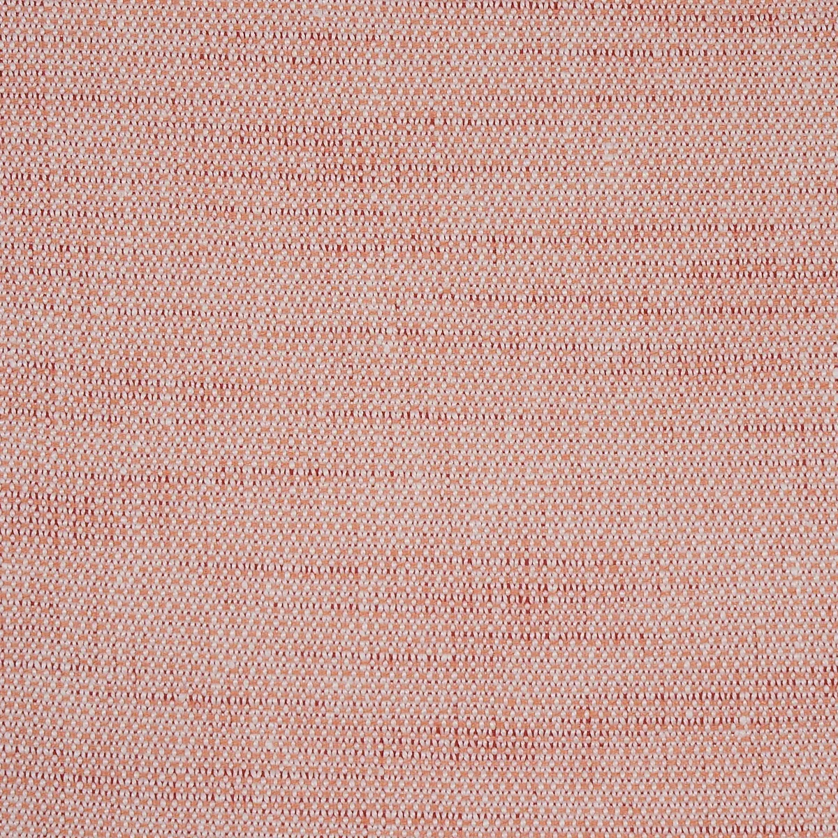 73878 | CAMARILLO WEAVE INDOOR/OUTDOOR – CORAL