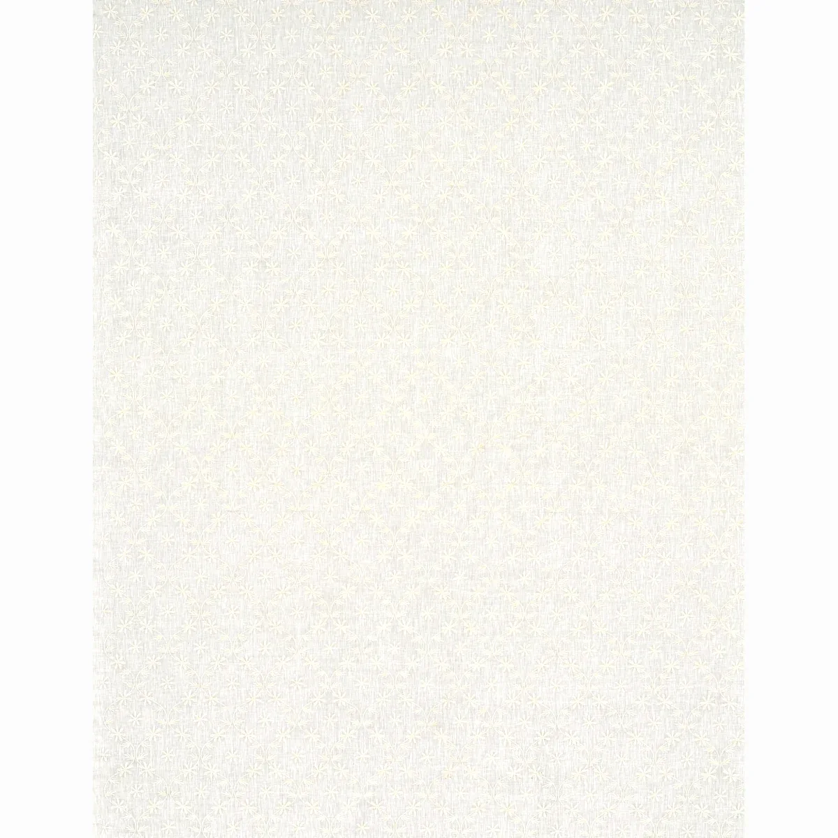 Cellini Embroidered Sheer Fabric – IVORY | Schumacher | Wall Cellini Embroidered Sheer fabric IVORY color by Schumacher