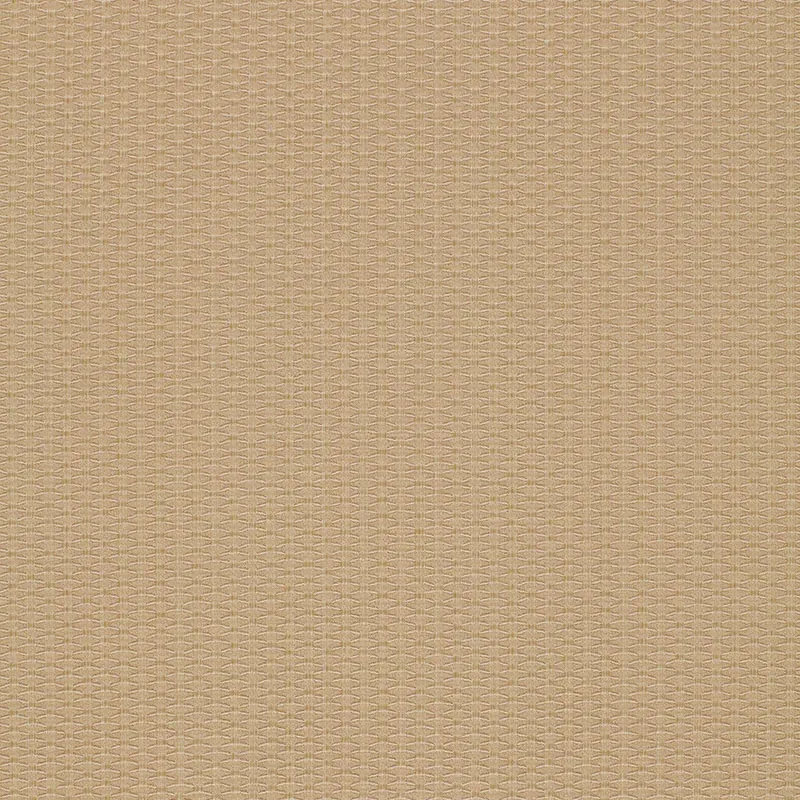 CELLINI TEXTURE fabric BEIGE color by Schumacher