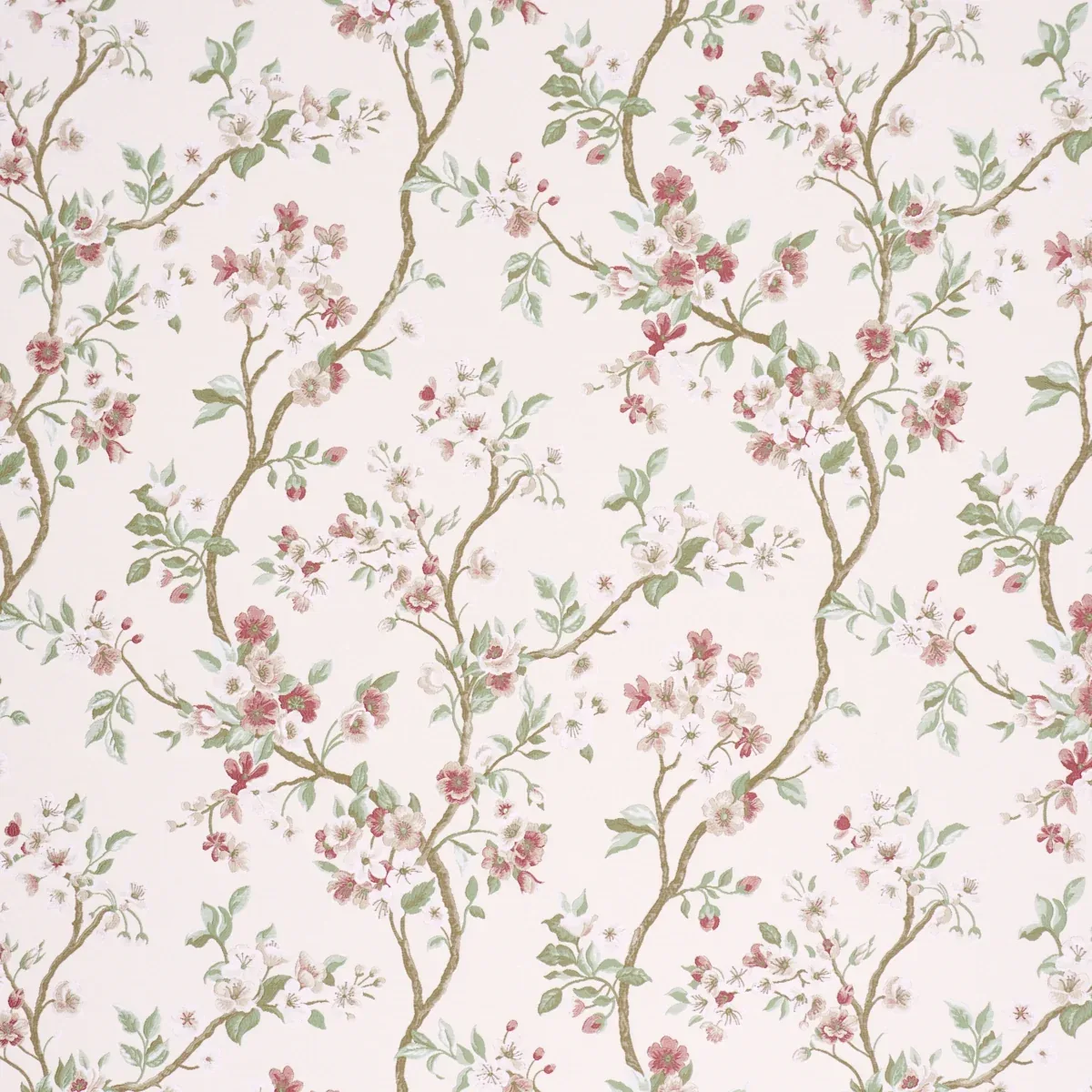 86221 | CHERRY BLOSSOM – CHERRY
