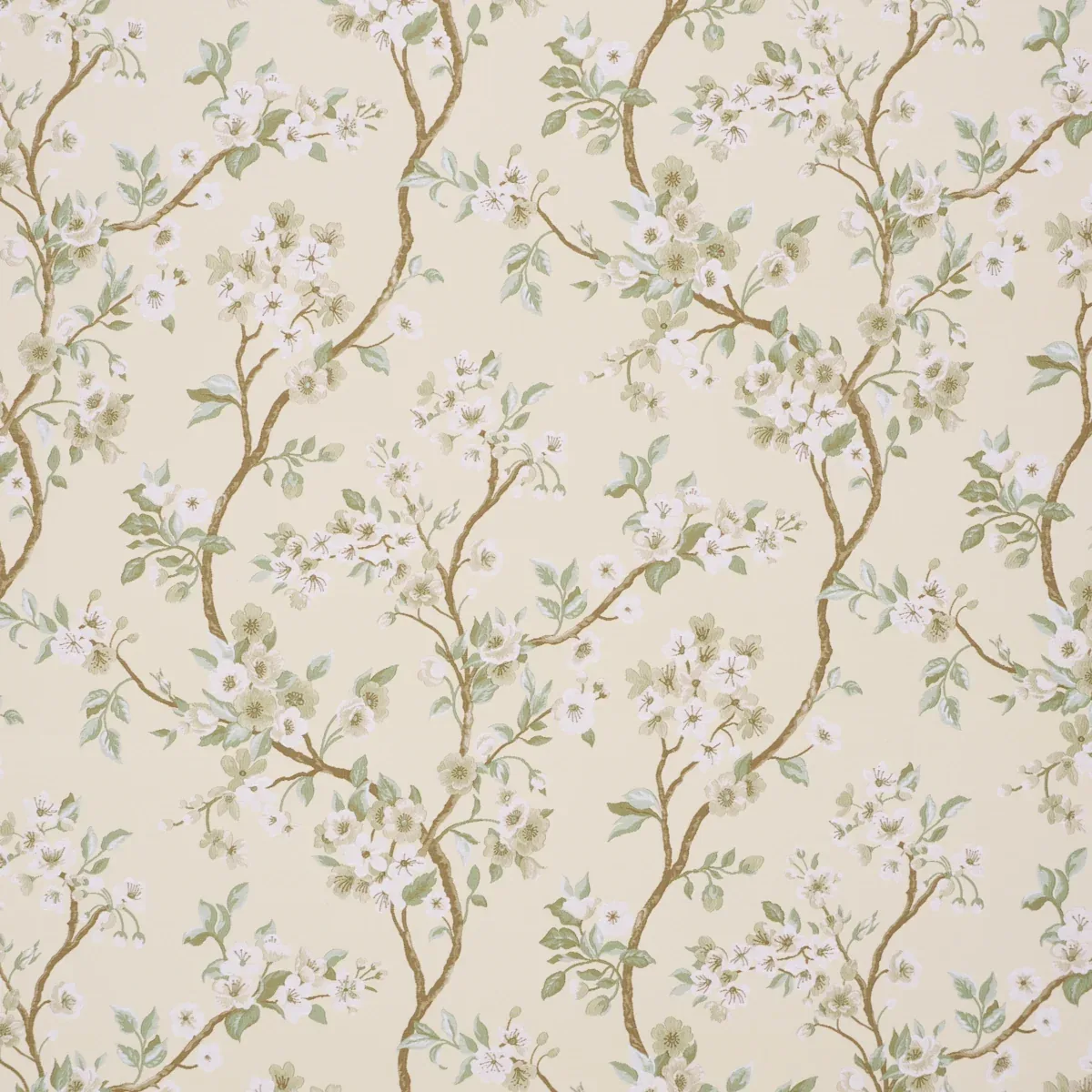 86220 | CHERRY BLOSSOM – CITRON