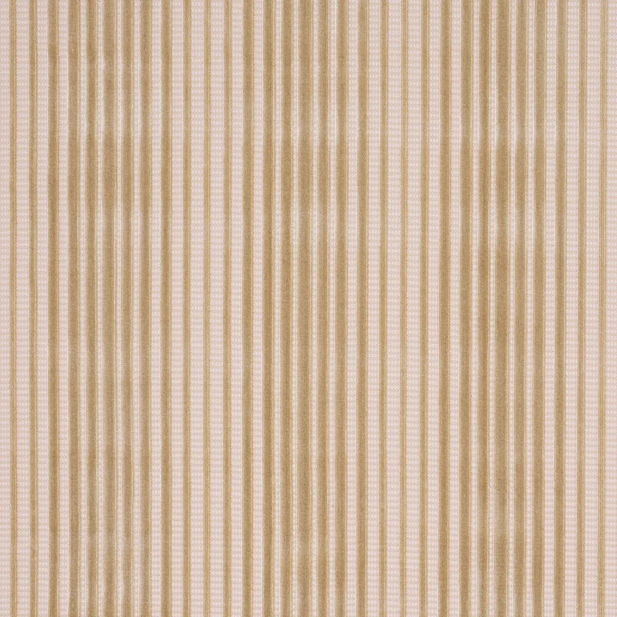 CHIMAY STRIPE VELVET fabric CHAMPAGNE color by Schumacher