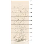 CHINOIS PALAIS Fabric – BLUSH CONCH | Schumacher | Wallpaper CHINOIS PALAIS fabric BLUSH CONCH color by Schumacher
