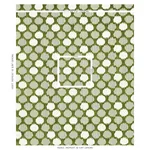 CIRQUE VELVET fabric GREEN color by Schumacher
