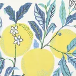 CITRUS GARDEN SHEER Fabric – POOL | Schumacher | Wallpaper T CITRUS GARDEN SHEER fabric POOL color by Schumacher
