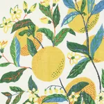 CITRUS GARDEN SHEER fabric PRIMARY color by Schumacher