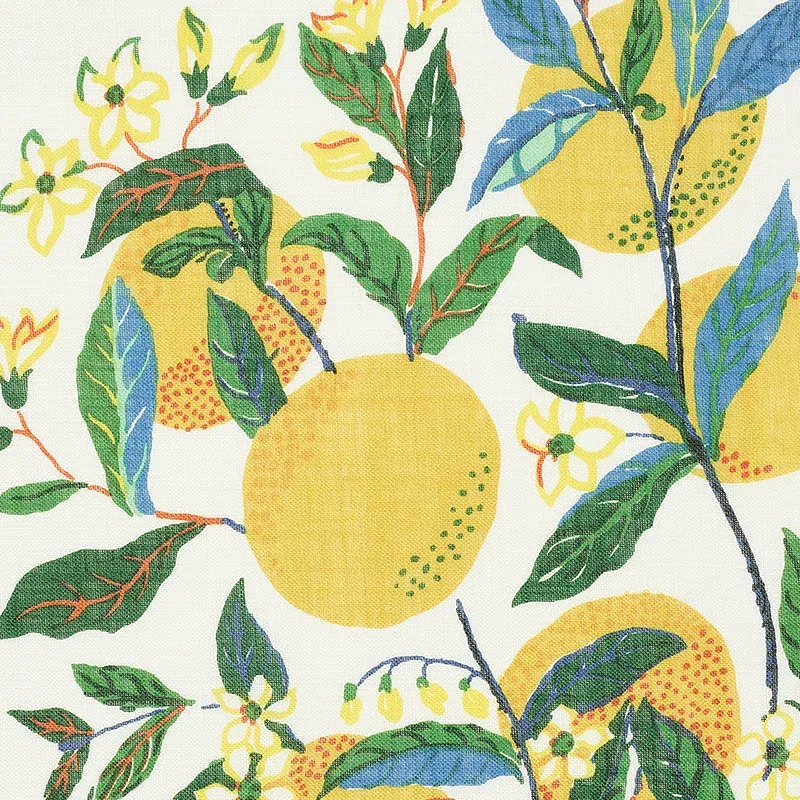 CITRUS GARDEN SHEER fabric PRIMARY color by Schumacher