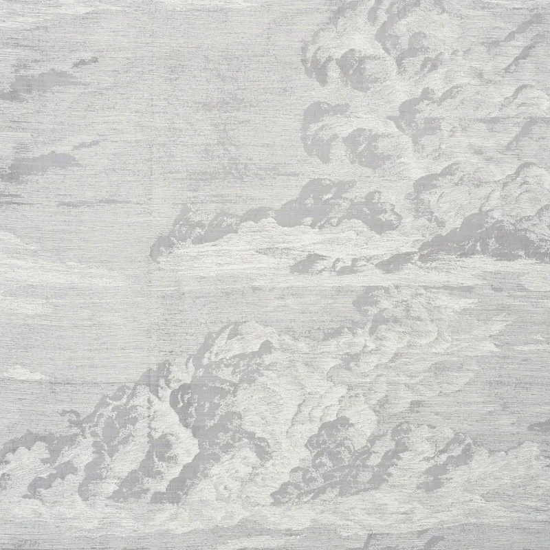 CLOUD TOILE fabric FOG color by Schumacher