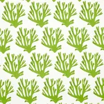 Coral Fabric – GREEN | Schumacher | Wallpaper Twins Coral fabric GREEN color by Schumacher