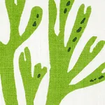 Coral Fabric – GREEN | Schumacher | Wallpaper Twins Coral fabric GREEN color by Schumacher