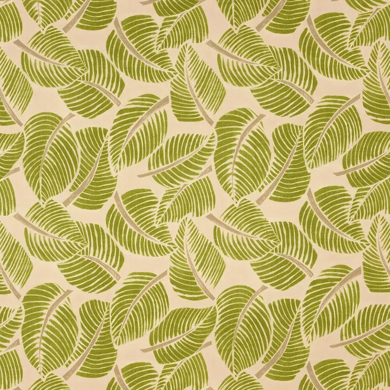 176190 | COSTA RICA – LEAF
