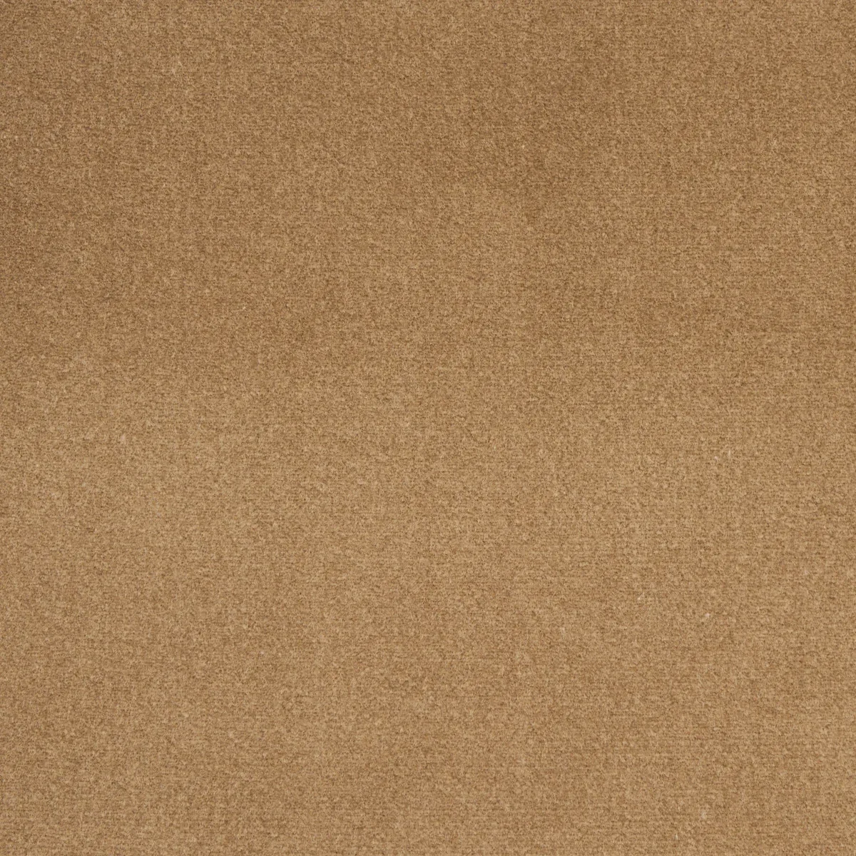 COTTON CLUB VELVET Fabric – FAWN | Schumacher | Wallpaper Tw COTTON CLUB VELVET fabric FAWN color by Schumacher