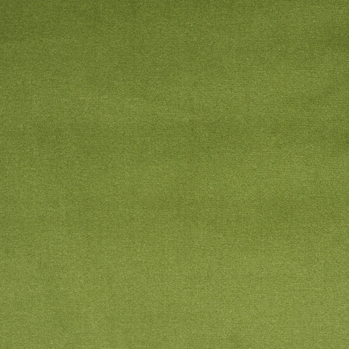 COTTON CLUB VELVET Fabric – SAGE | Schumacher | Wallpaper Tw COTTON CLUB VELVET fabric SAGE color by Schumacher
