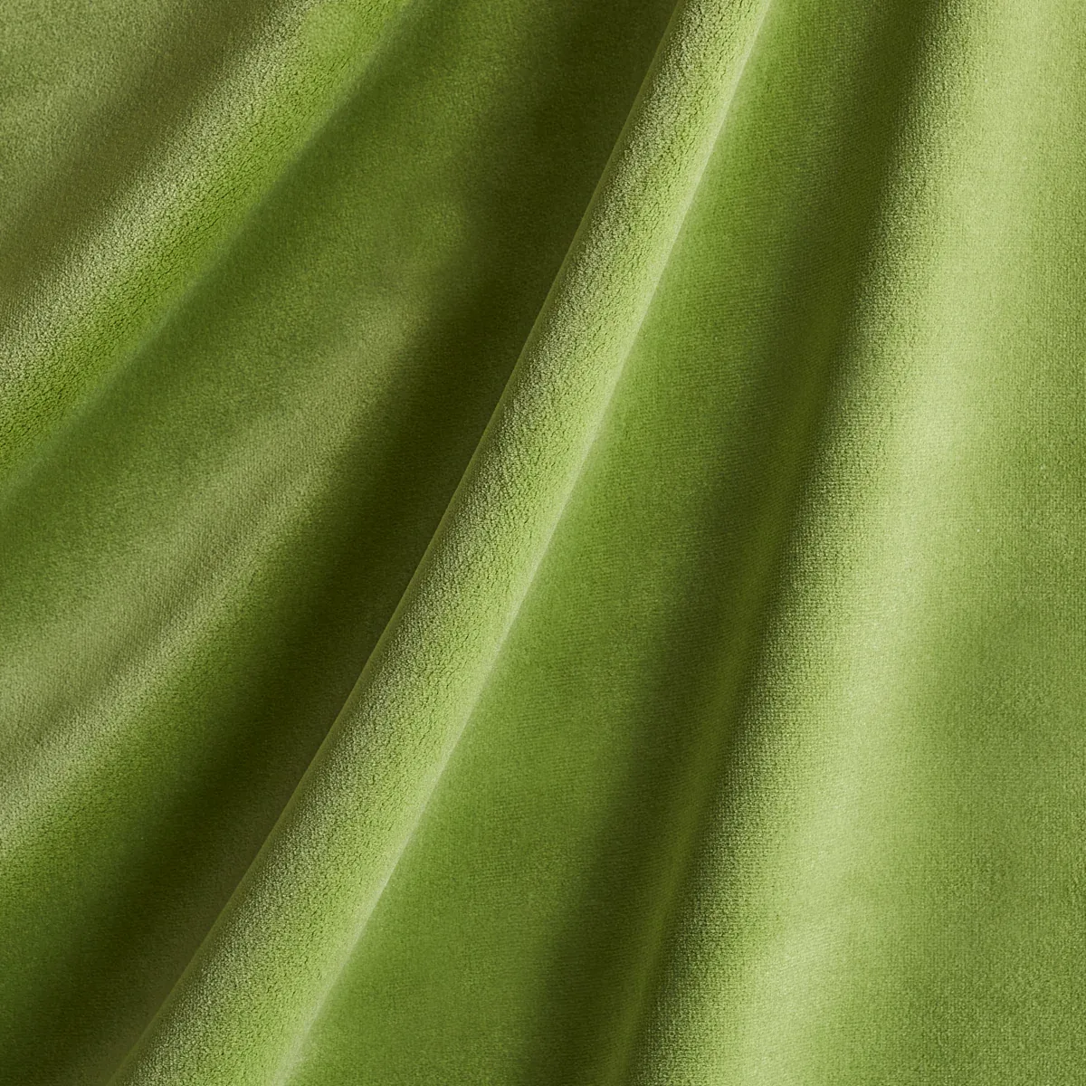43424 | COTTON CLUB VELVET – SAGE