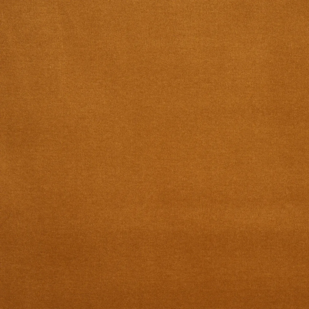 COTTON CLUB VELVET fabric STRAW color by Schumacher