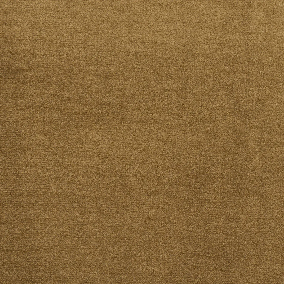 COTTON CLUB VELVET fabric THYME color by Schumacher